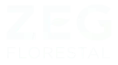 Zeg-Florestal-01 1